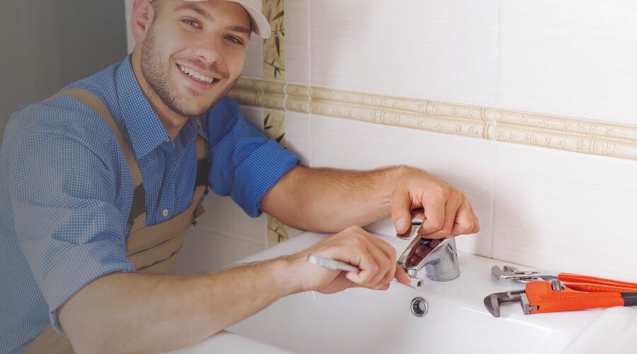 Professional Leak Detection Services services in Bowlus, MN